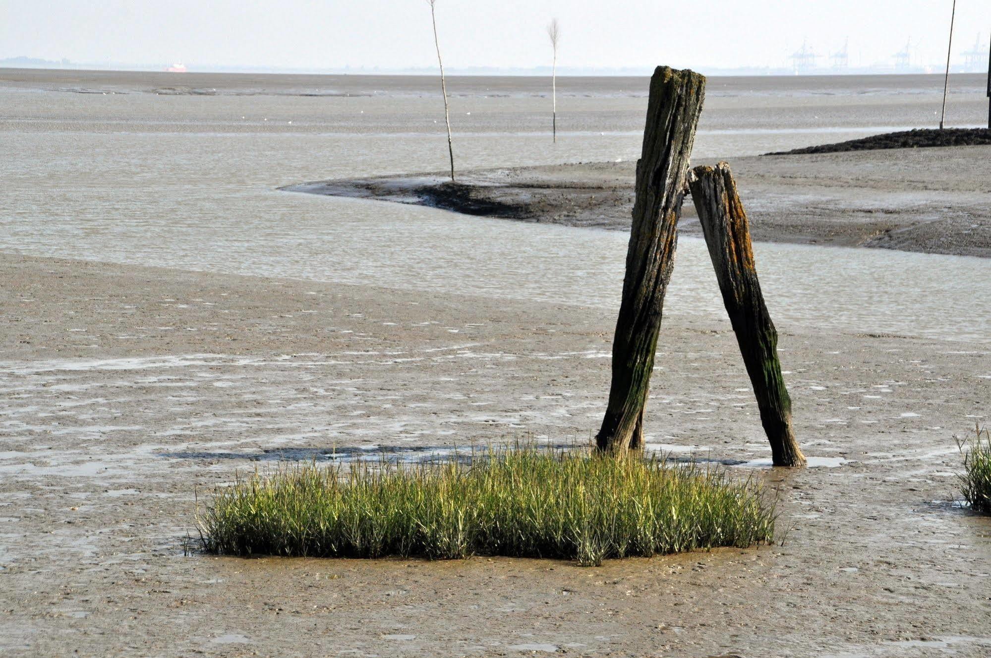 Strand Hotel Nordsee, Hotel Deichläufer Tossens Buitenkant foto